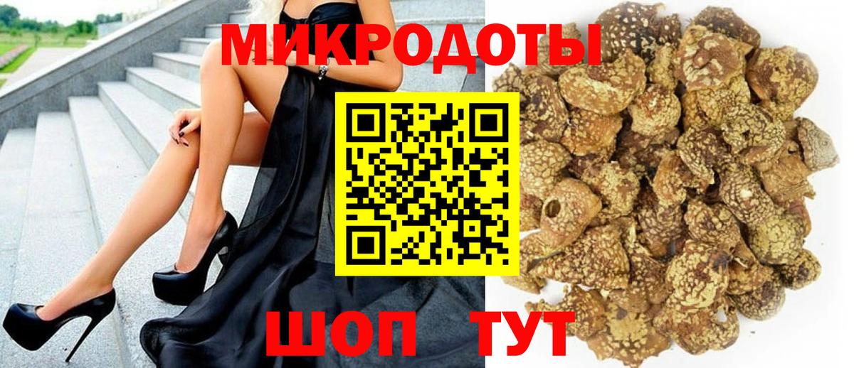 Псилоцибиновые грибы мицелий Новодвинск
