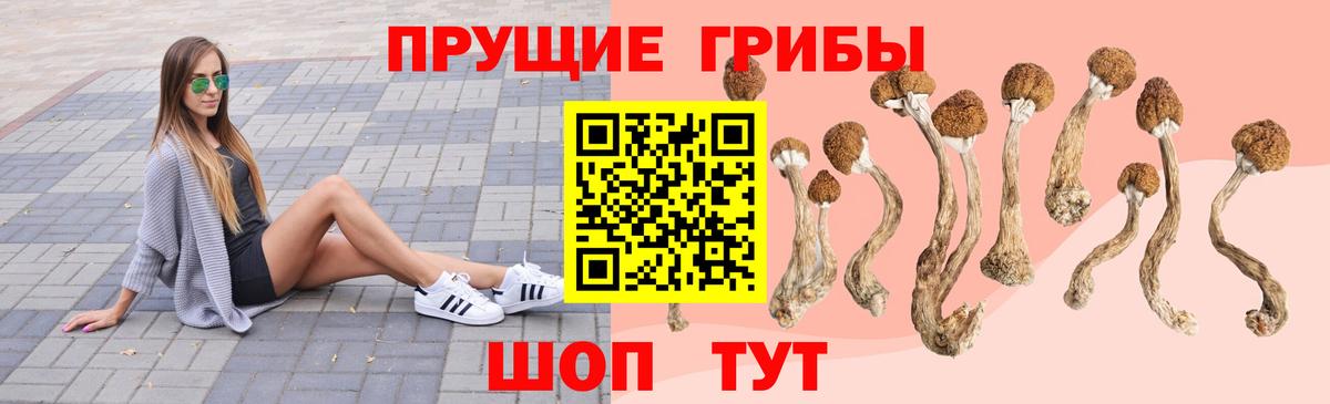 Галлюциногенные грибы Magic Shrooms  Псилоцибиновые грибы ЛСД  Вход с VPN  Новодвинск 